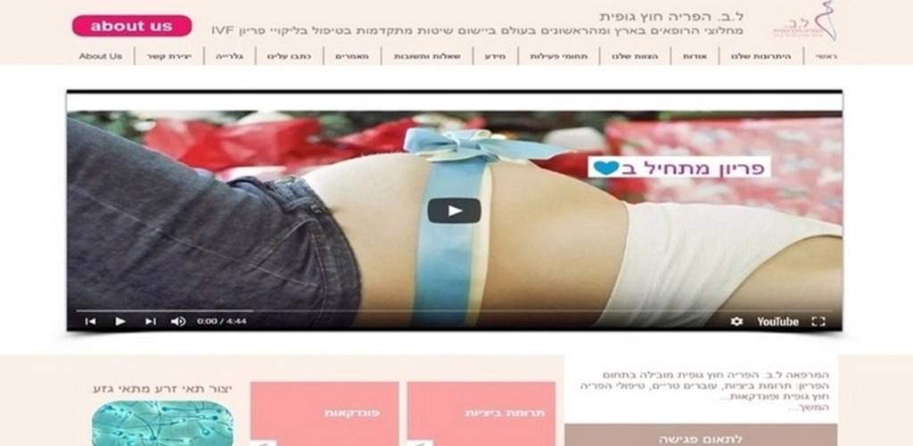 שיווק ופרסום באינטרנט | Fly Guy 