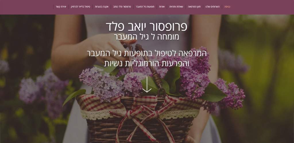 שיווק ופרסום באינטרנט | Fly Guy 