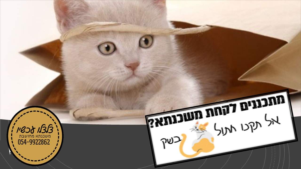 ייעוץ משכנתאות | מנשה יצחק