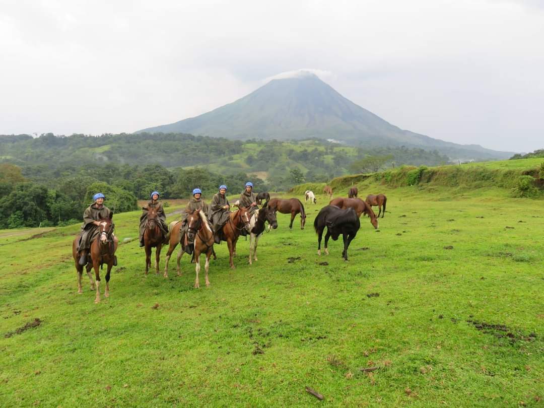 סוכני נסיעות | Asaf Vero