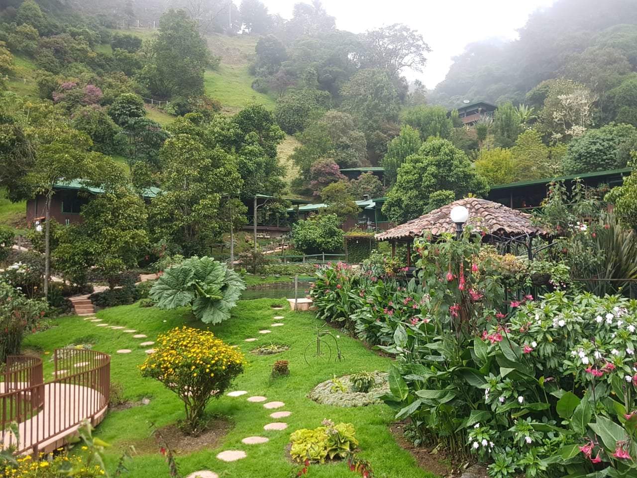 סוכני נסיעות | Asaf Vero