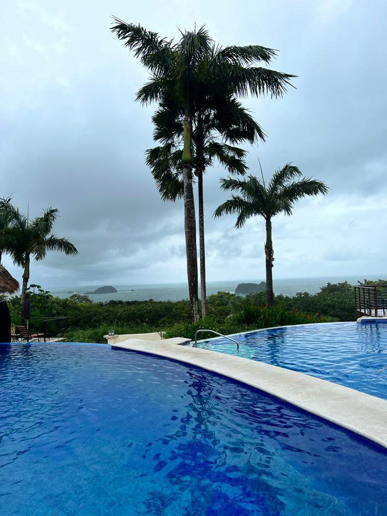 סוכני נסיעות | Asaf Vero