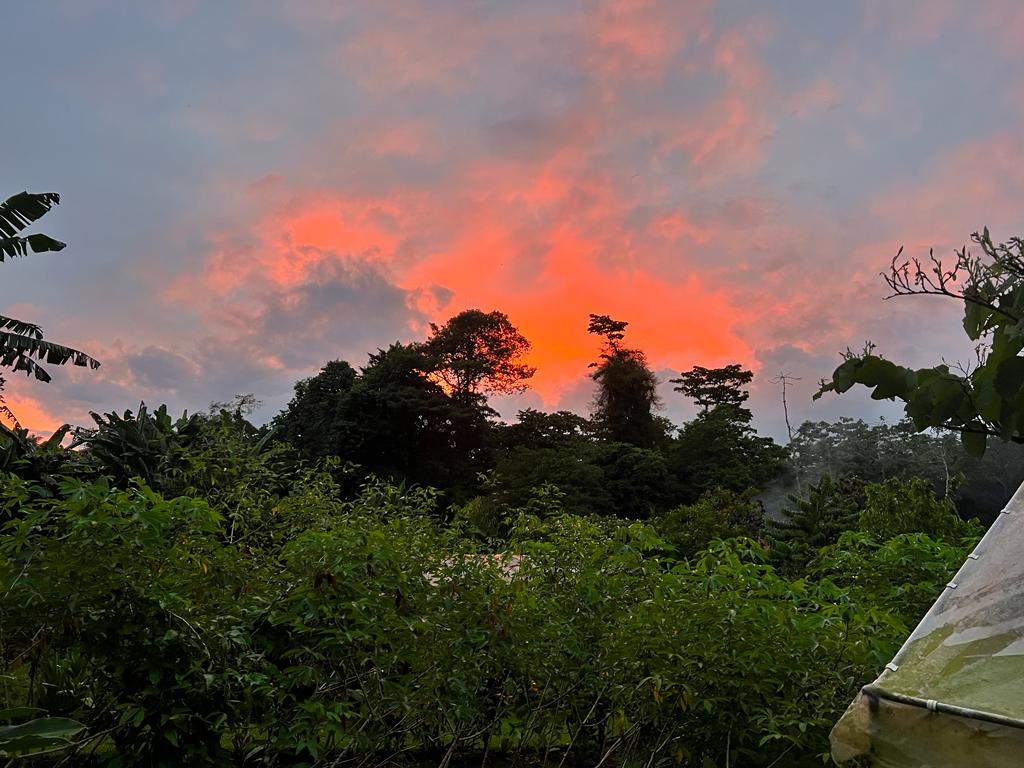 סוכני נסיעות | Asaf Vero