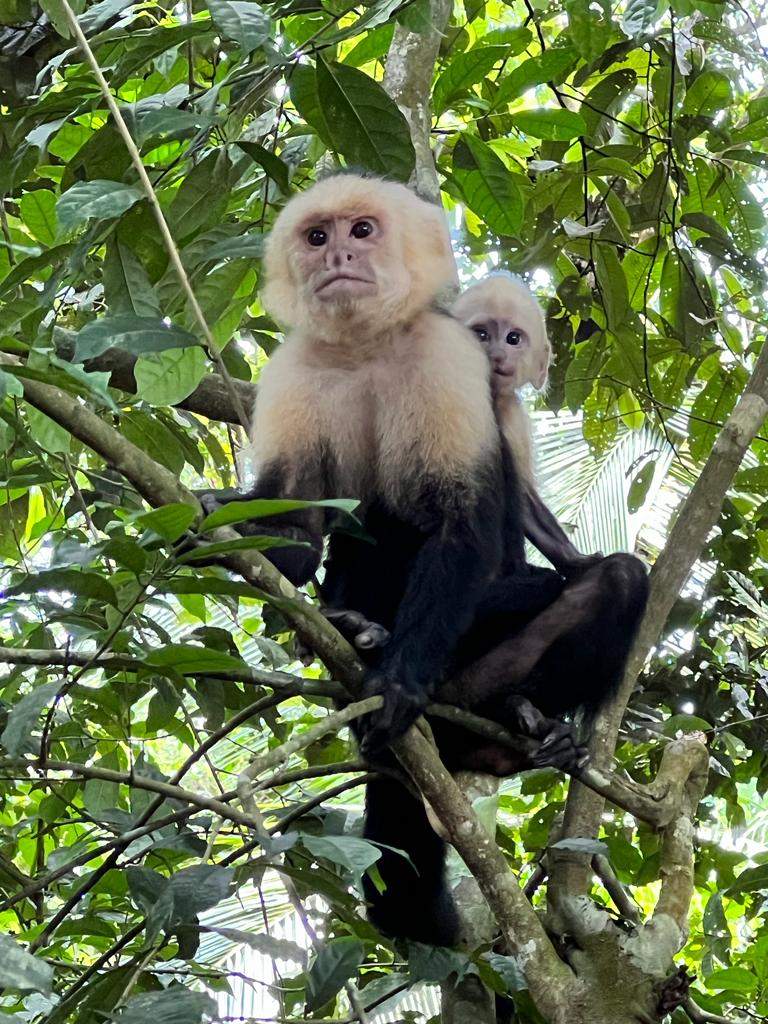 סוכני נסיעות | Asaf Vero