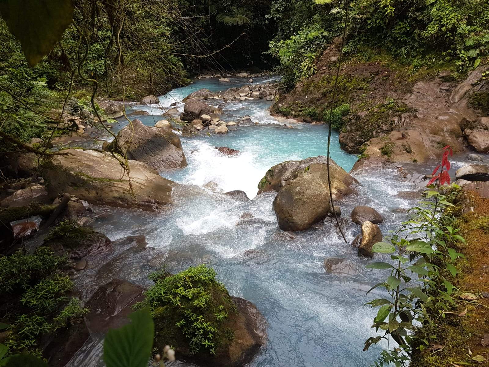 סוכני נסיעות | Asaf Vero