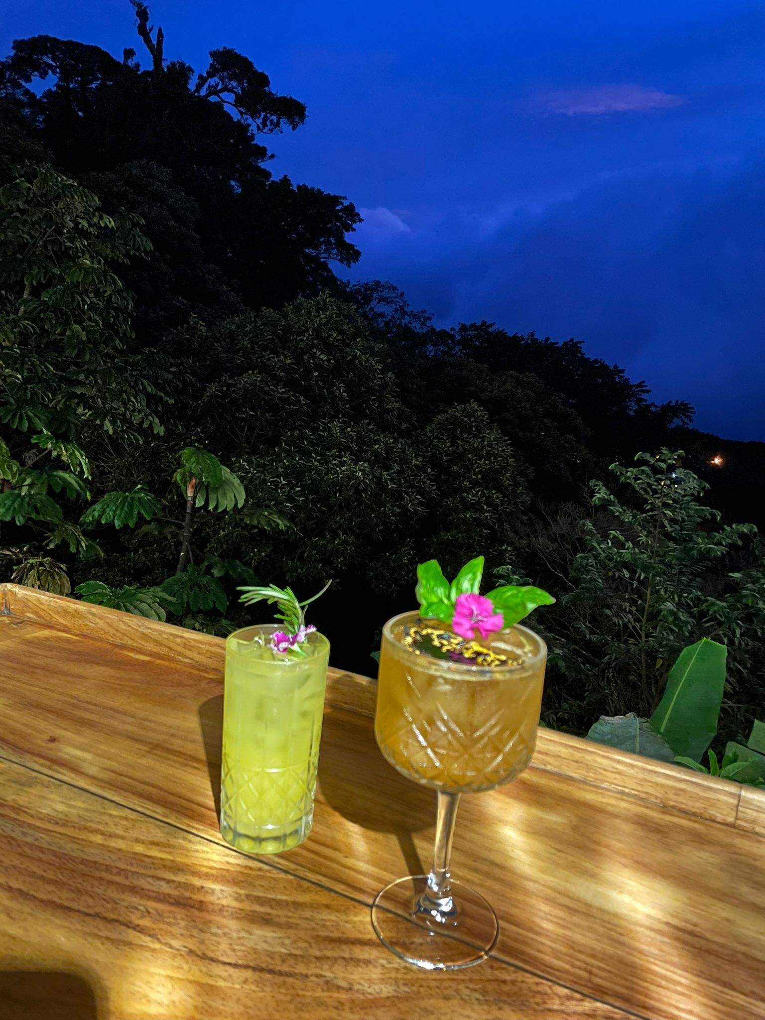 סוכני נסיעות | Asaf Vero