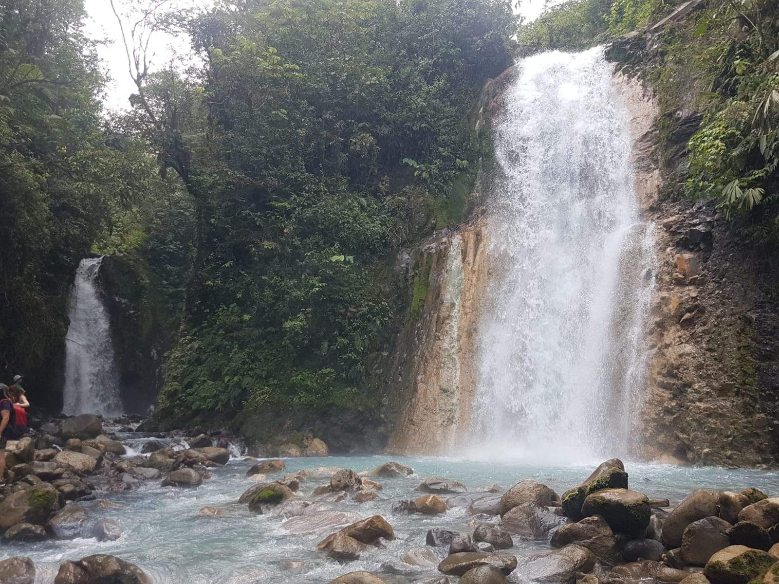 סוכני נסיעות | Asaf Vero