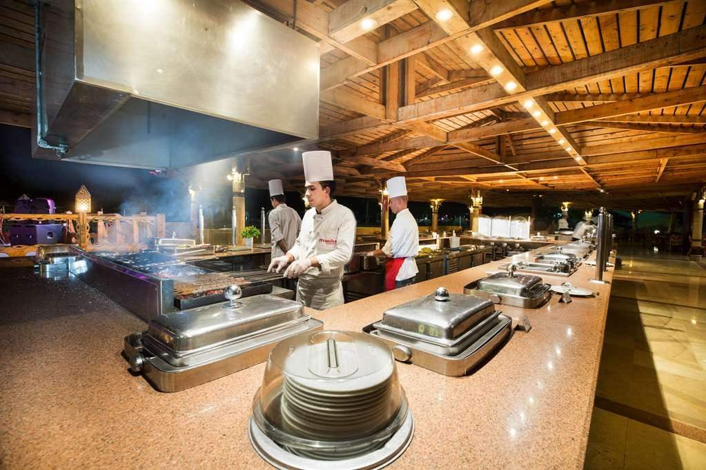 סוכני נסיעות | yehoyada tours