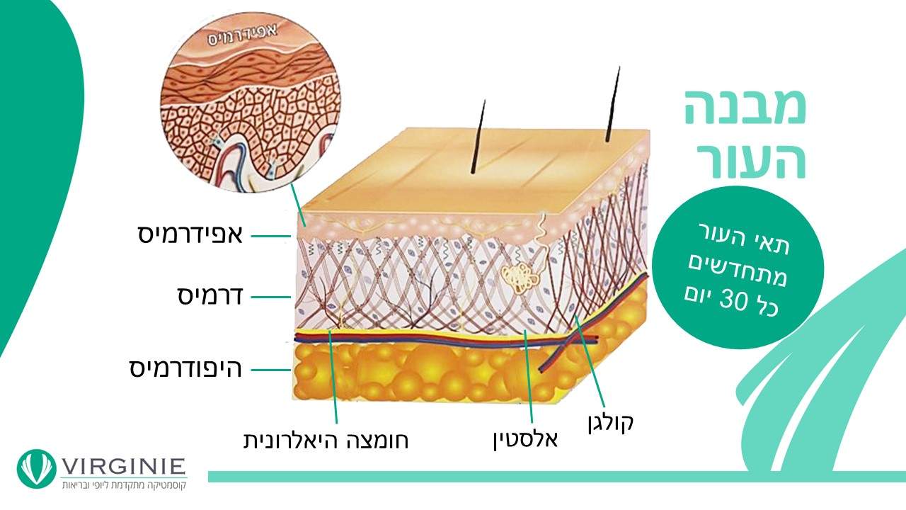 קוסמטיקאיות | וירג'יני קוסמטיקה מתקדמת ליופי ובריאות