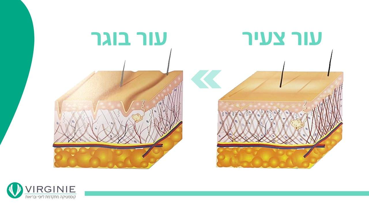 קוסמטיקאיות | וירג'יני קוסמטיקה מתקדמת ליופי ובריאות
