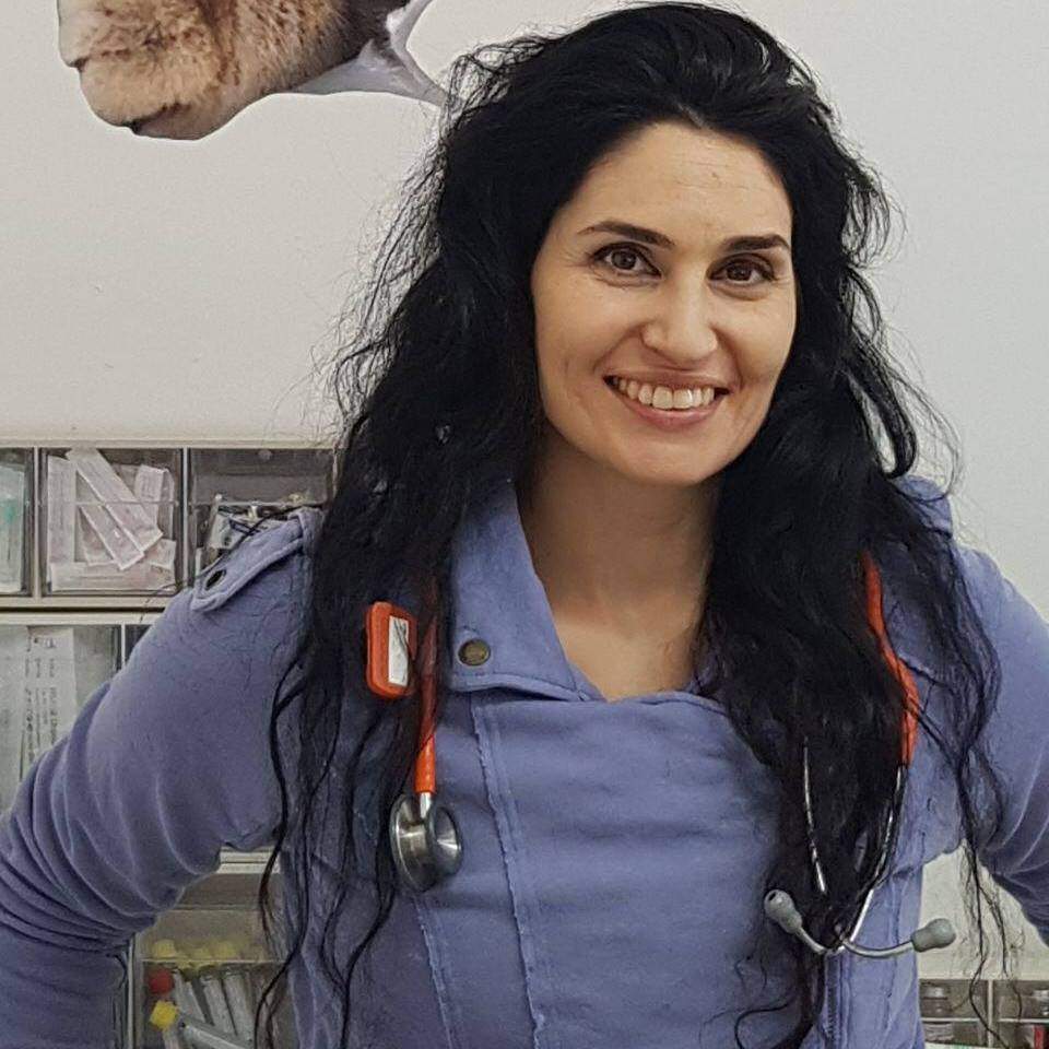 וטרינרים | גולדן - ד"ר שרון פפו