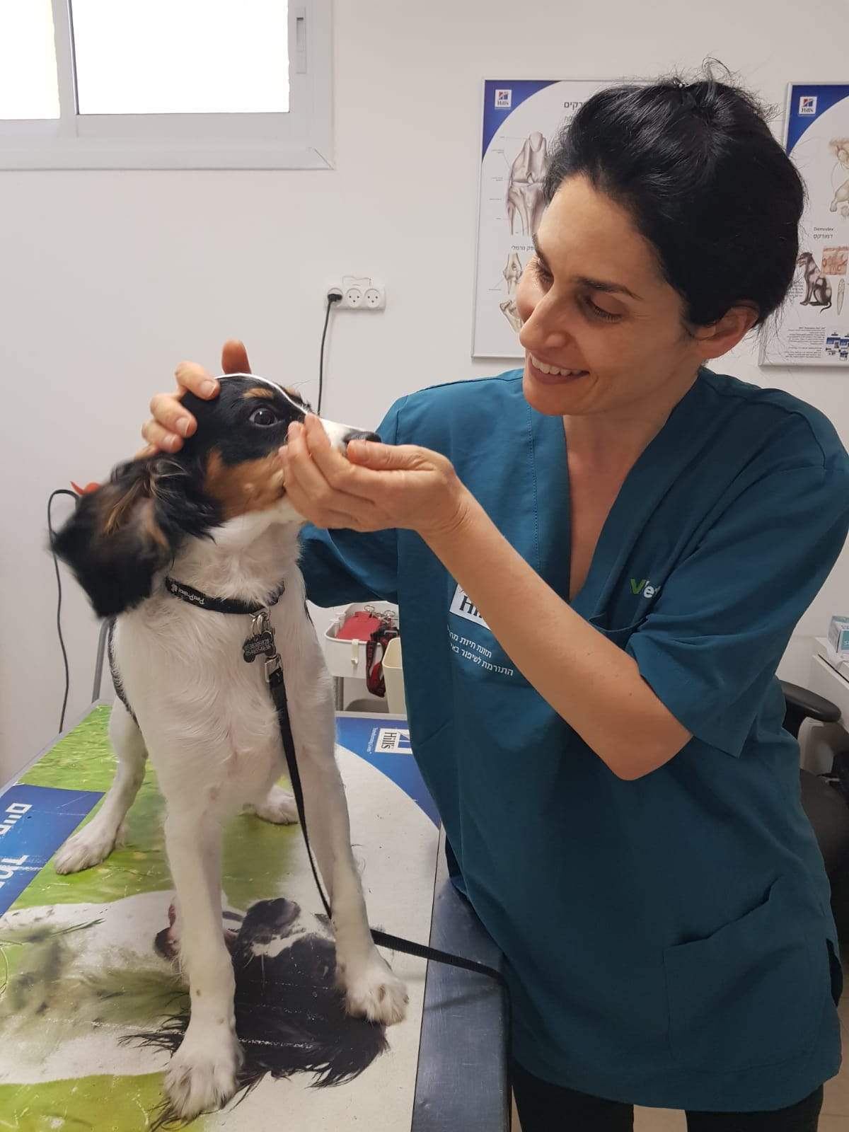 וטרינרים | גולדן - ד"ר שרון פפו