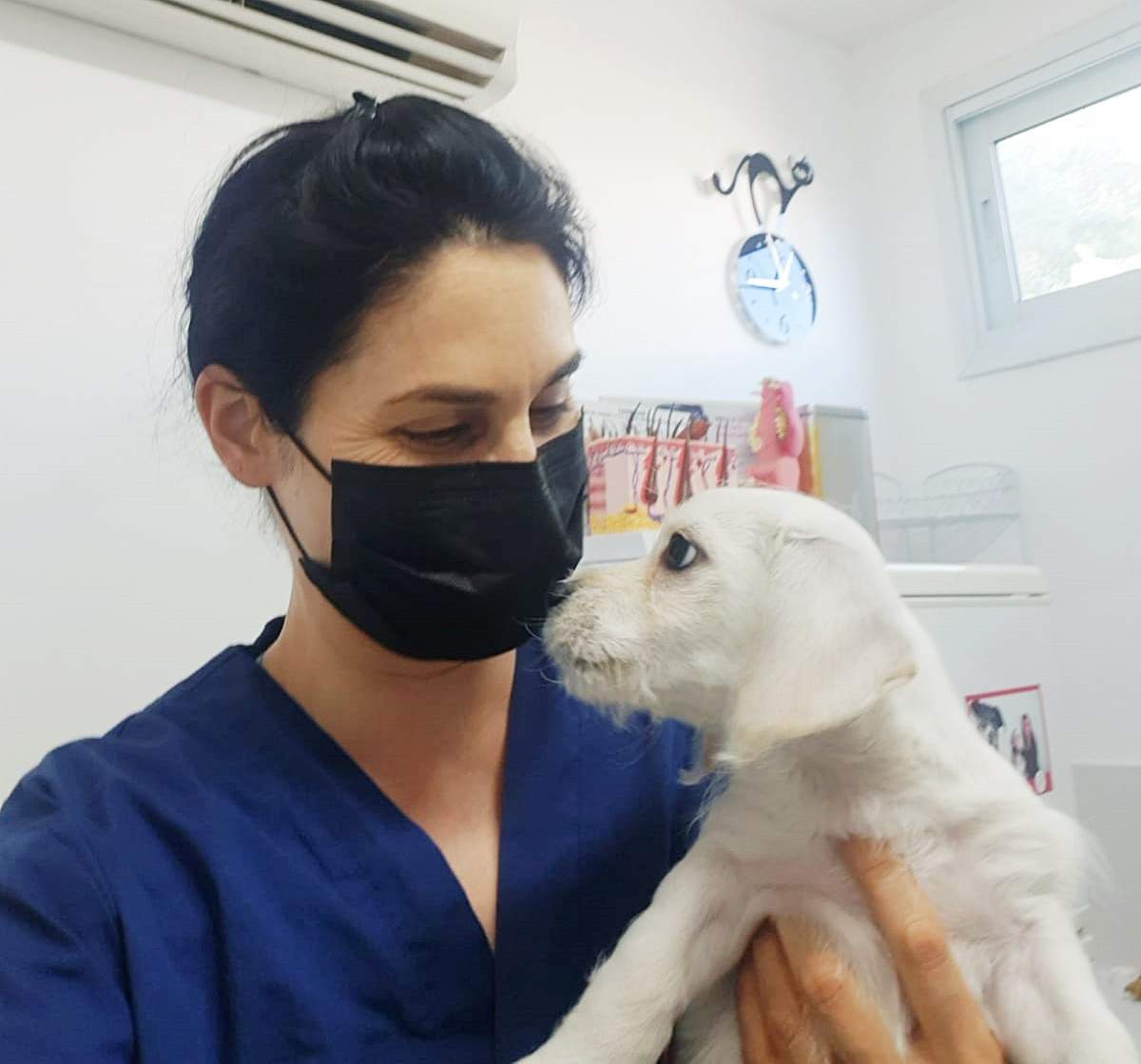 וטרינרים | גולדן - ד"ר שרון פפו