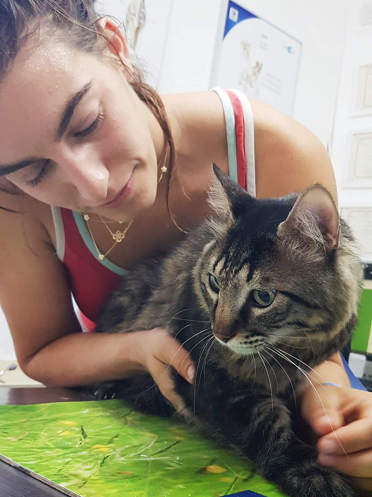 וטרינרים | גולדן - ד"ר שרון פפו