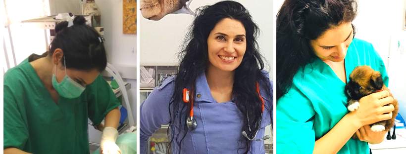 וטרינרים | גולדן - ד"ר שרון פפו