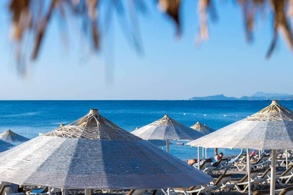 Travel agencies | Tamar Master Tours