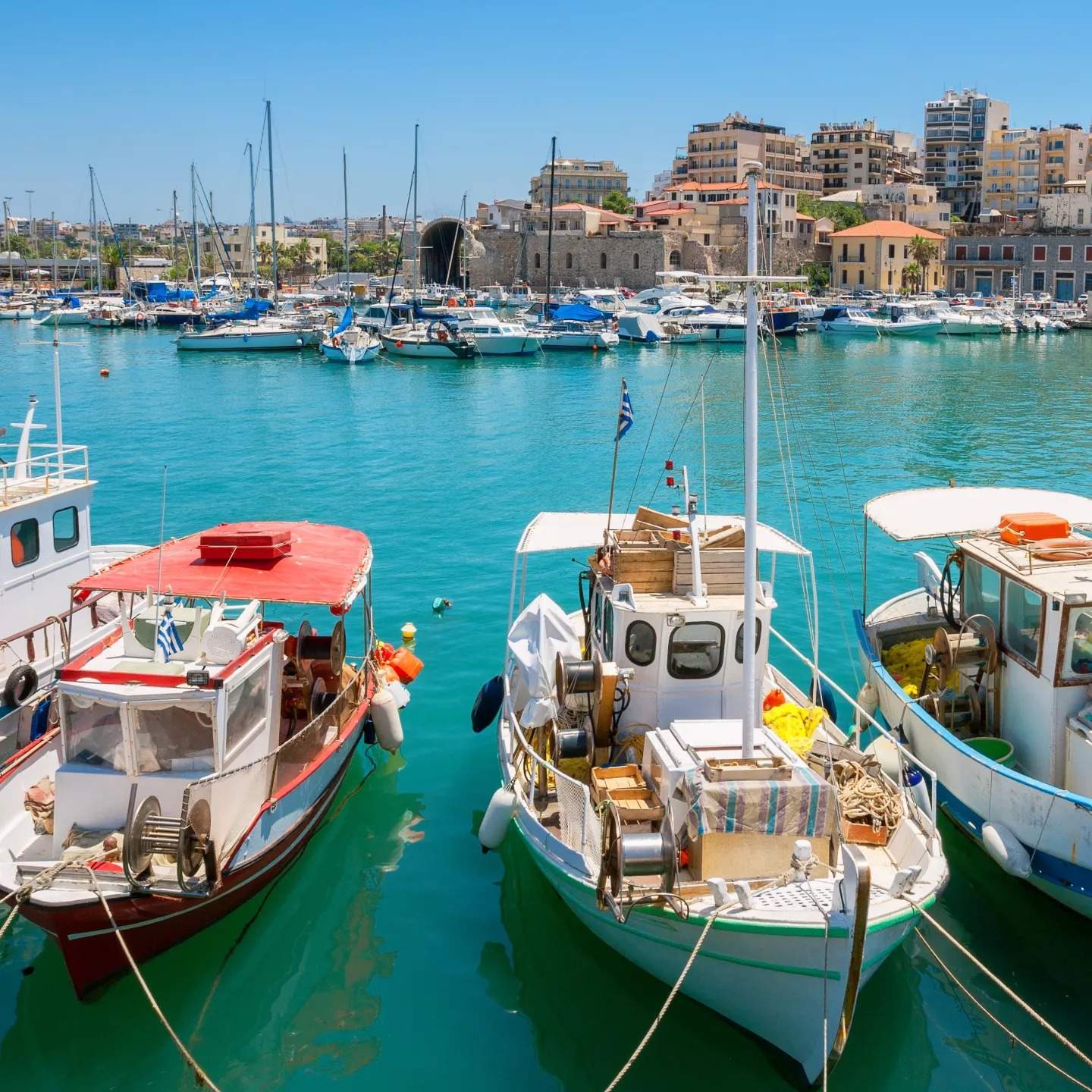 סוכני נסיעות | סיון שוסטר - Tripotel