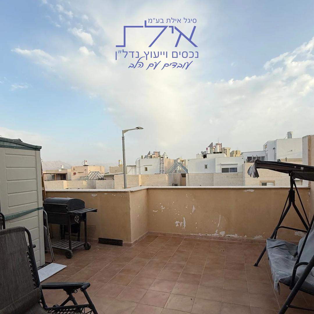 הפיקוס באילת