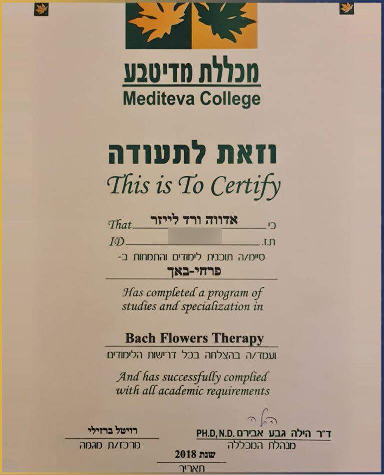 נטורופתים | בריא ואנרגטי עם אדווה